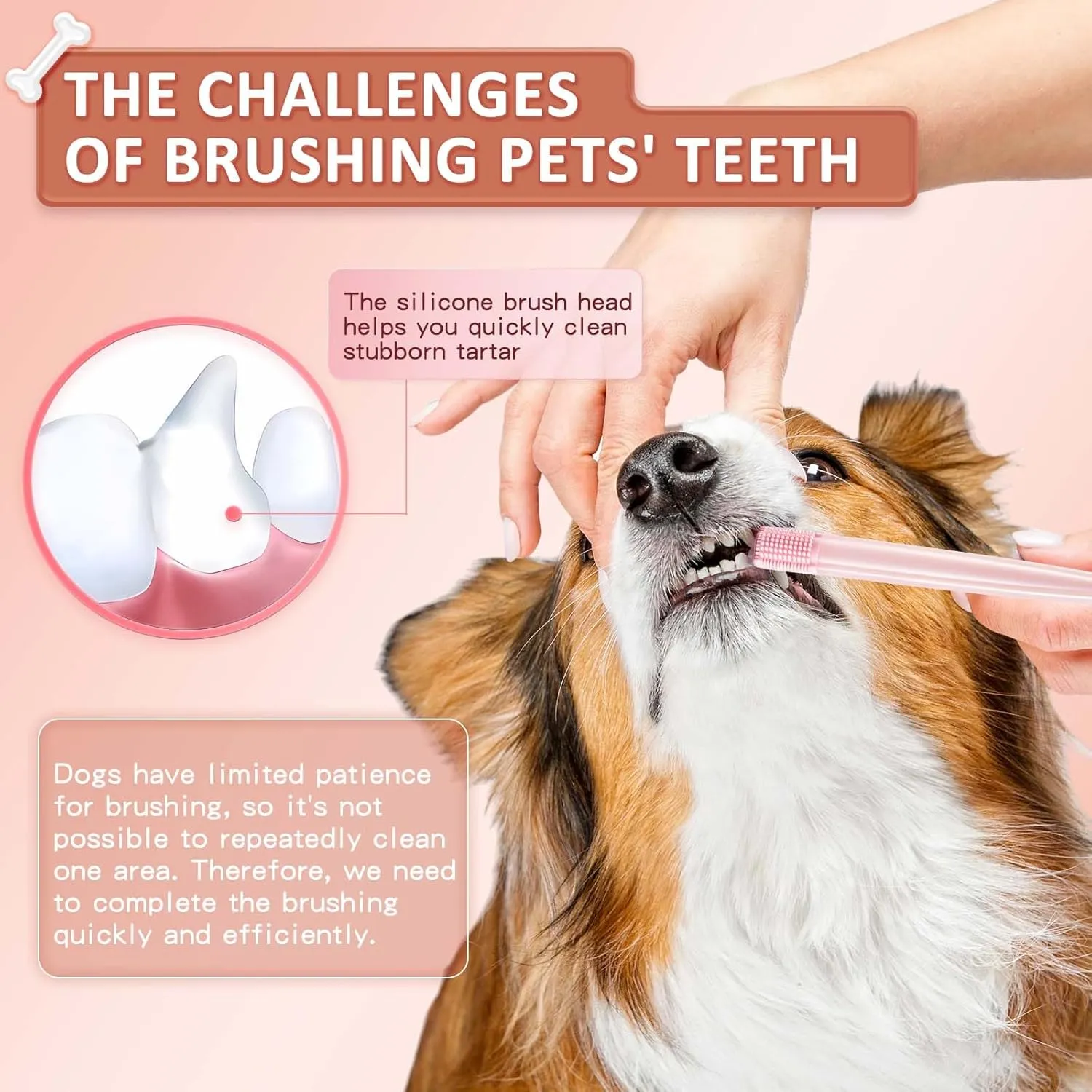 3-Pack Dual Head Dog Toothbrush, Pet Toothbrushes, Unique Dual-Sided Design, Oral Care Kit