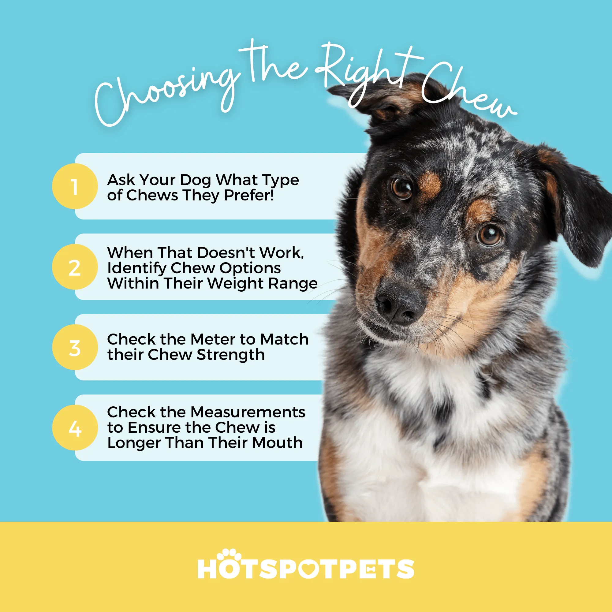 6" Split Beef Trachea Strips for Small & Medium Dogs
