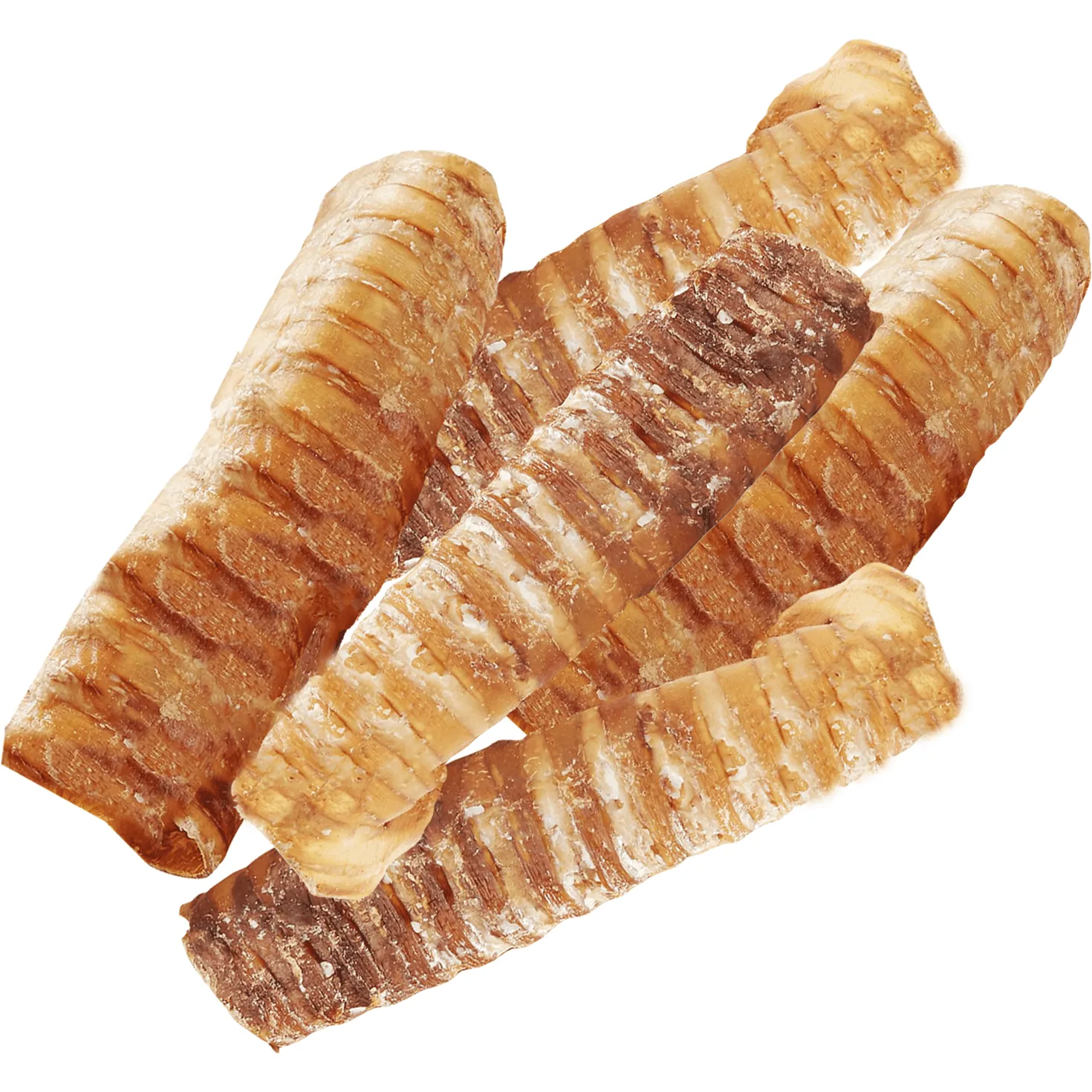 6" Split Beef Trachea Strips for Small & Medium Dogs