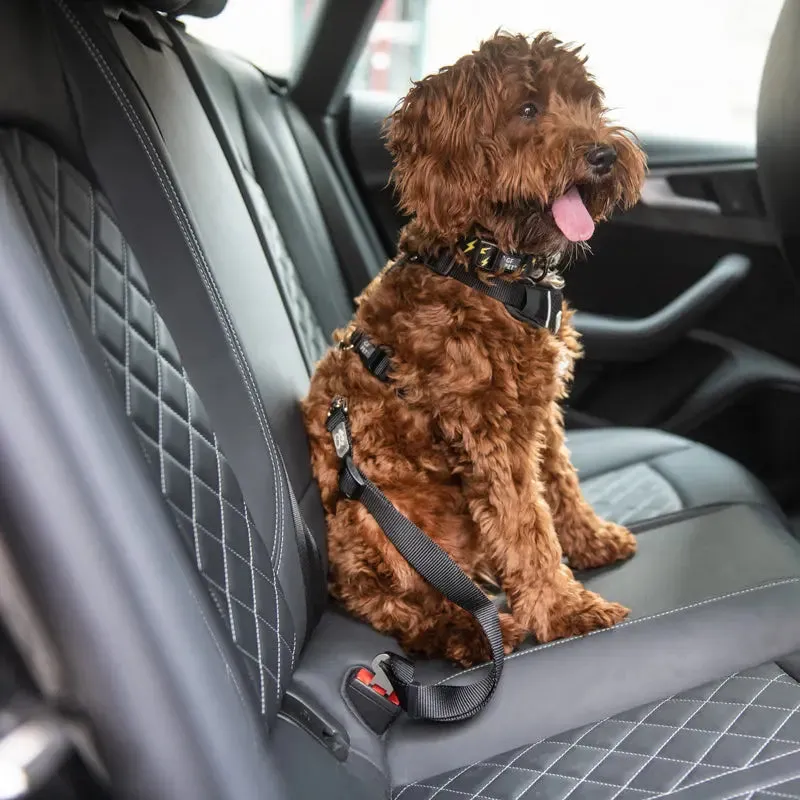 Adjustable Dog Seat Belt – Safe & Secure Travel for Your Pet