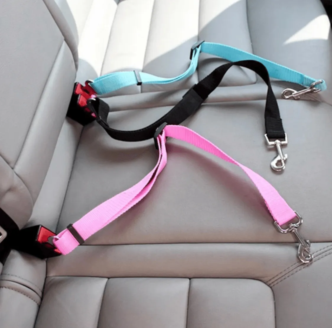 Adjustable Pet Car Seat Belt | Safety Harness for Dogs & Cats