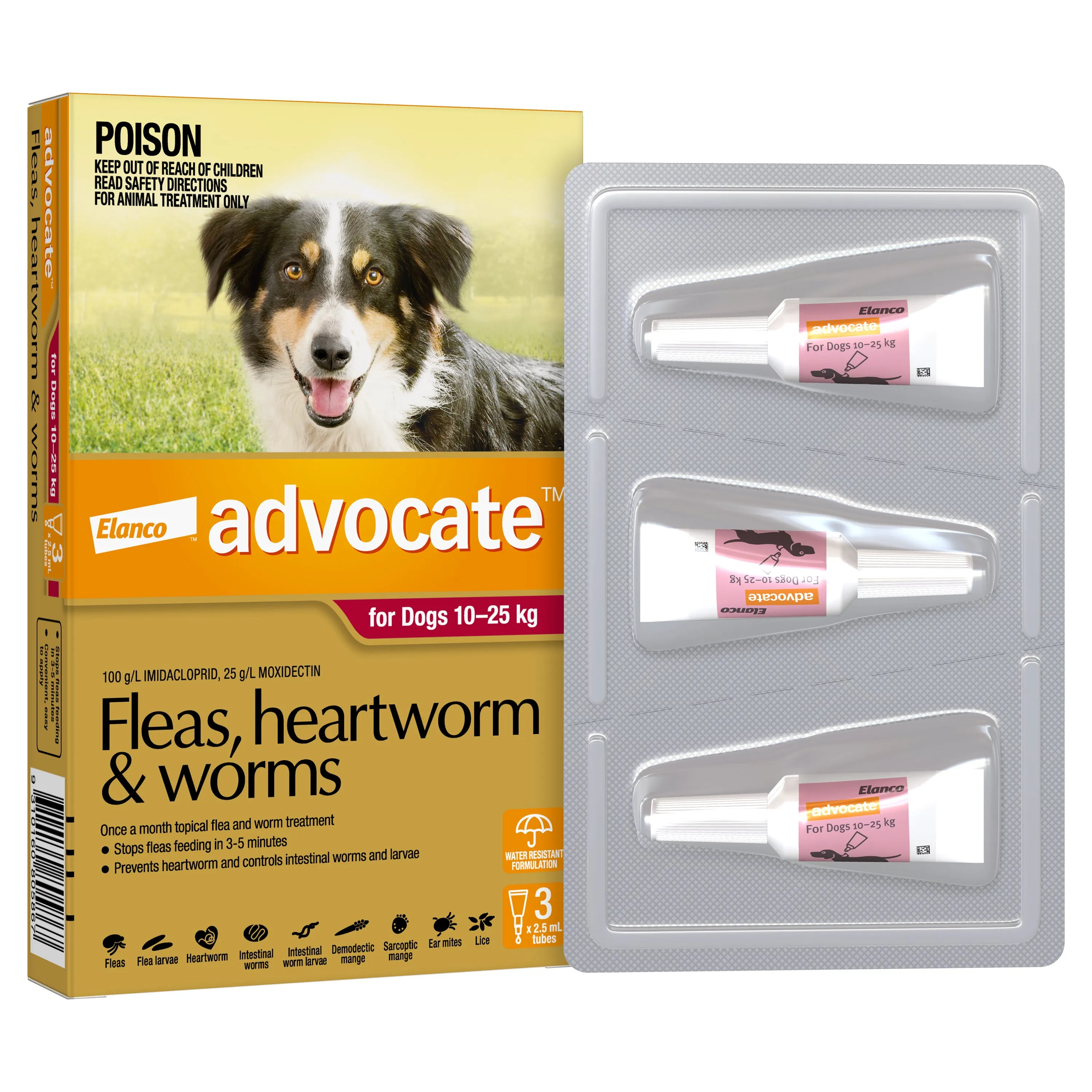 Advocate - Dog 10-25kg (3pk)