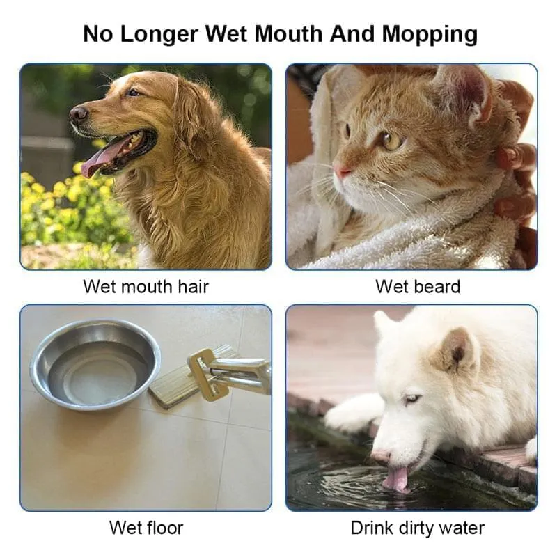 Anti-Overflow Water Feeder Dispenser For Pets - GlamzLife