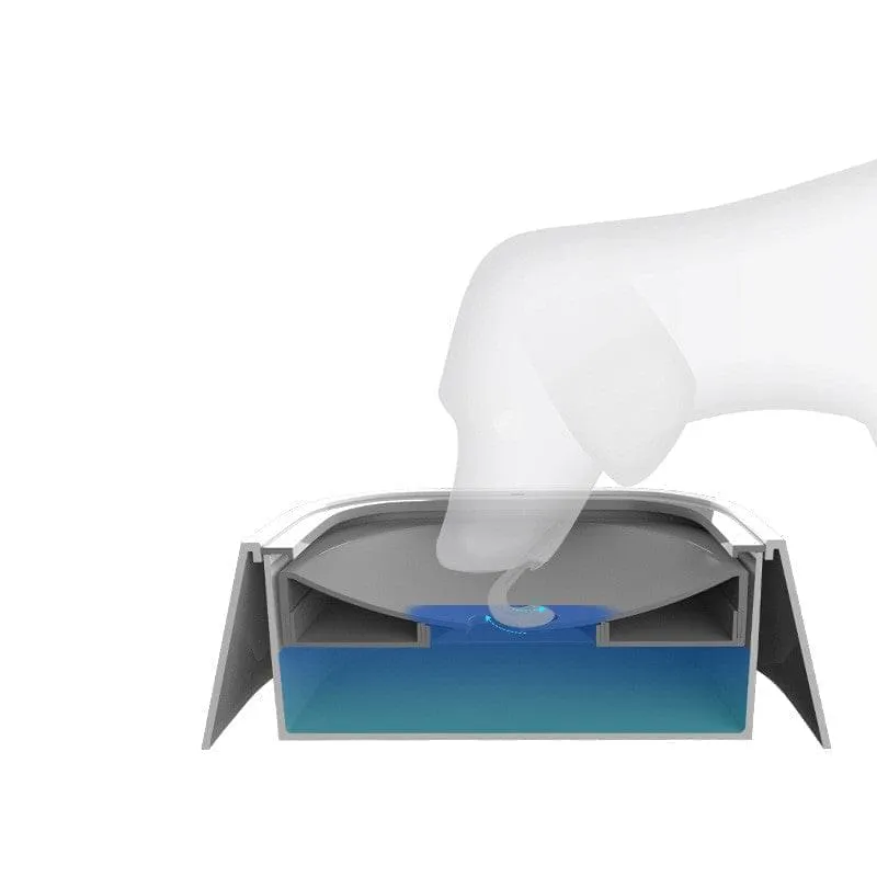 Anti-Overflow Water Feeder Dispenser For Pets - GlamzLife