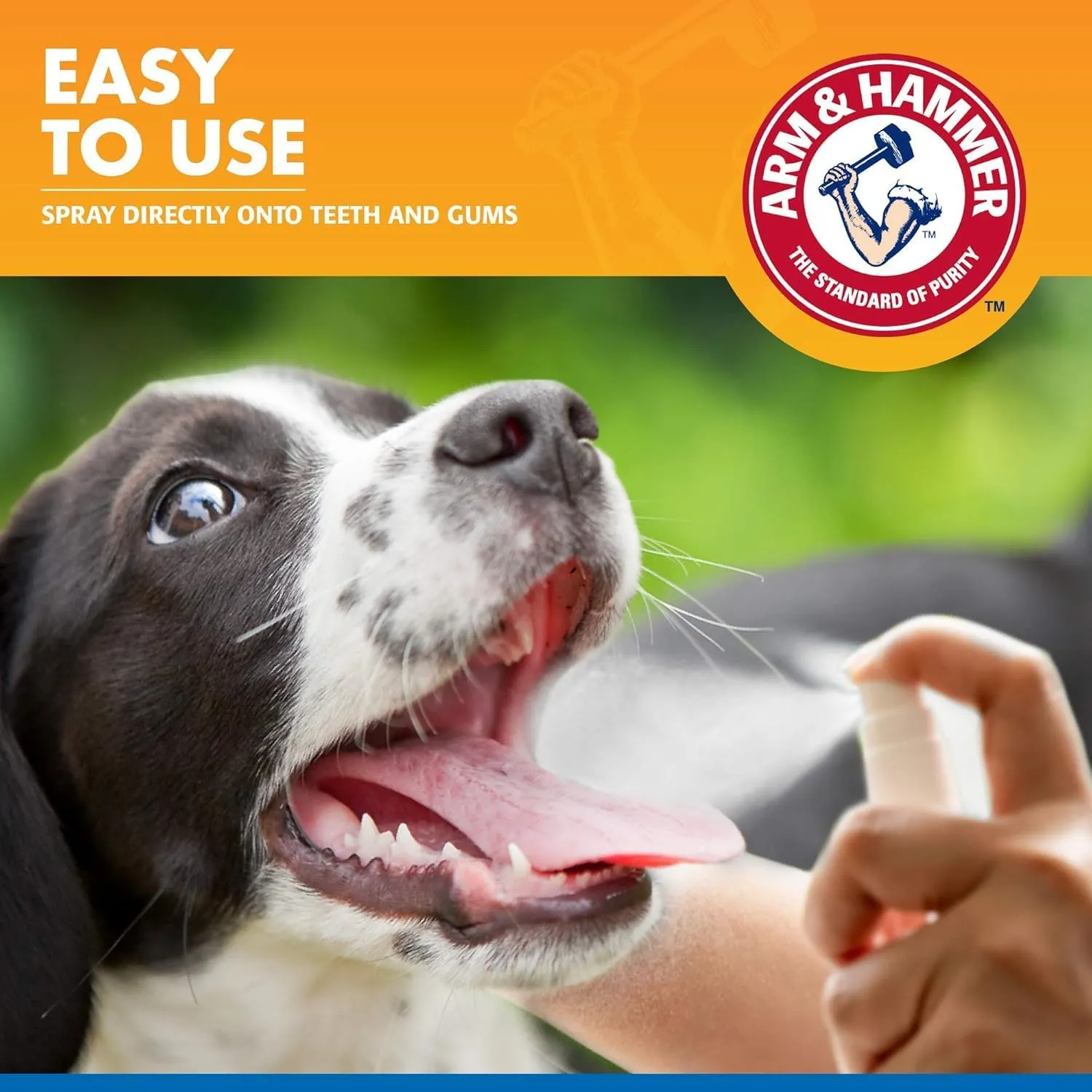 Arm & Hammer for Pets Tartar Control Dental Spray for Dogs | Dog Dental Spray Reduces Plaque & Tartar Buildup Without Brushing | Mint Flavor, 4 Ounces (Pack of 2)