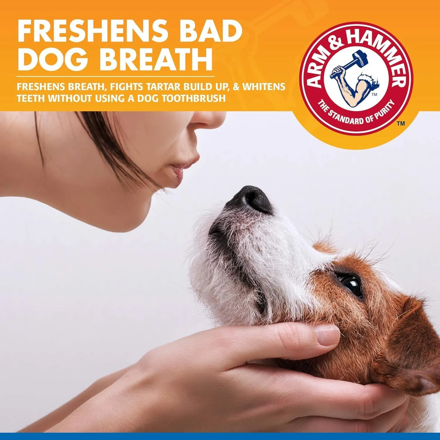 Arm & Hammer for Pets Tartar Control Dental Spray for Dogs | Dog Dental Spray Reduces Plaque & Tartar Buildup Without Brushing | Mint Flavor, 4 Ounces (Pack of 2)