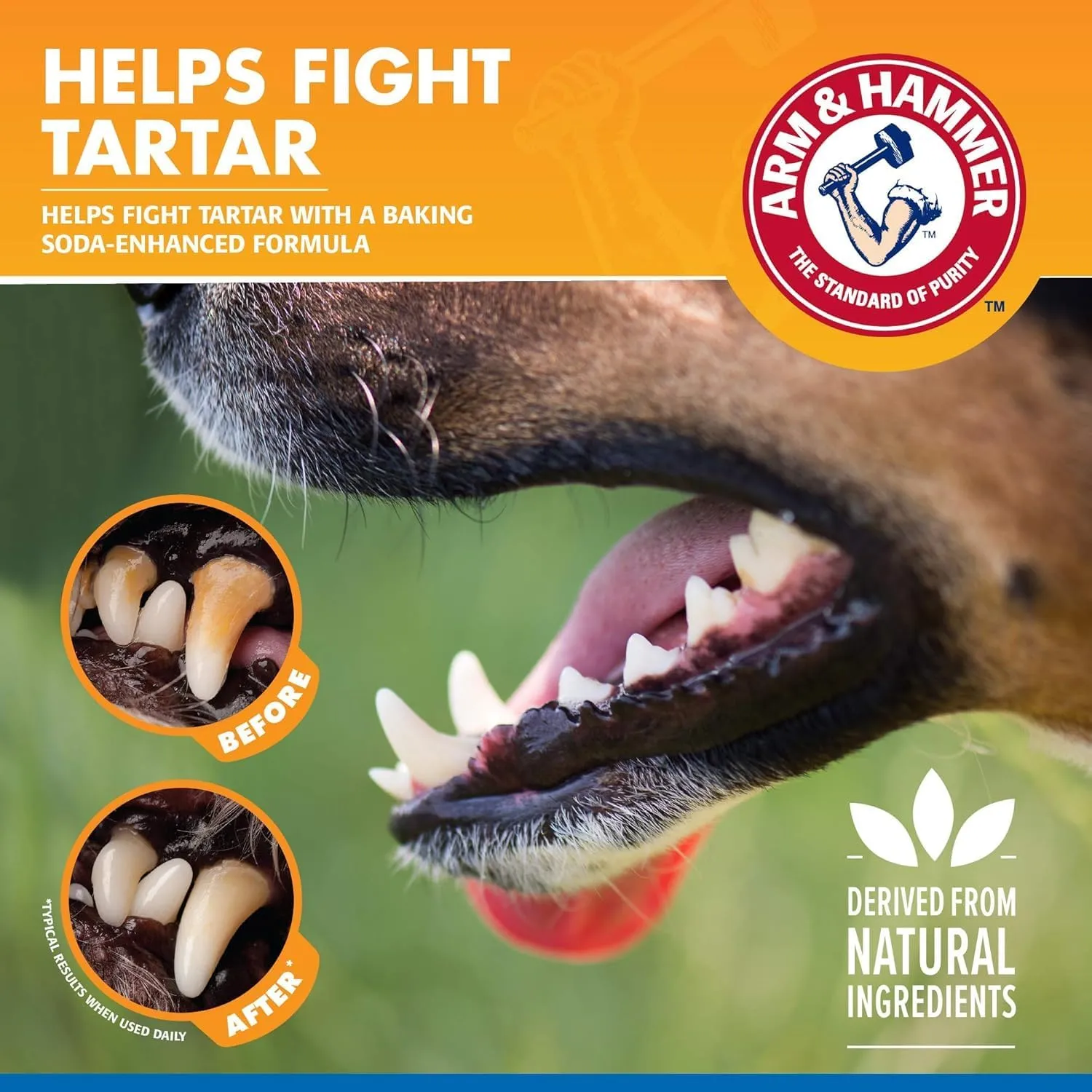Arm & Hammer for Pets Tartar Control Dental Spray for Dogs | Dog Dental Spray Reduces Plaque & Tartar Buildup Without Brushing | Mint Flavor, 4 Ounces (Pack of 2)