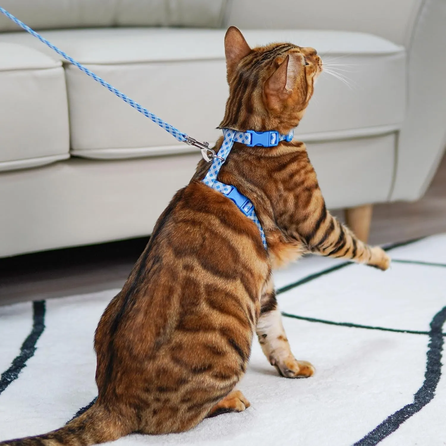 azuza Cat Harness and Leash Set for Safe Walking and Travel, Escape Proof Cat Harness, Lightweight Soft and Comfortable, Adjustable Kitten Harness for Small Medium Large Cats, Blue Plaid