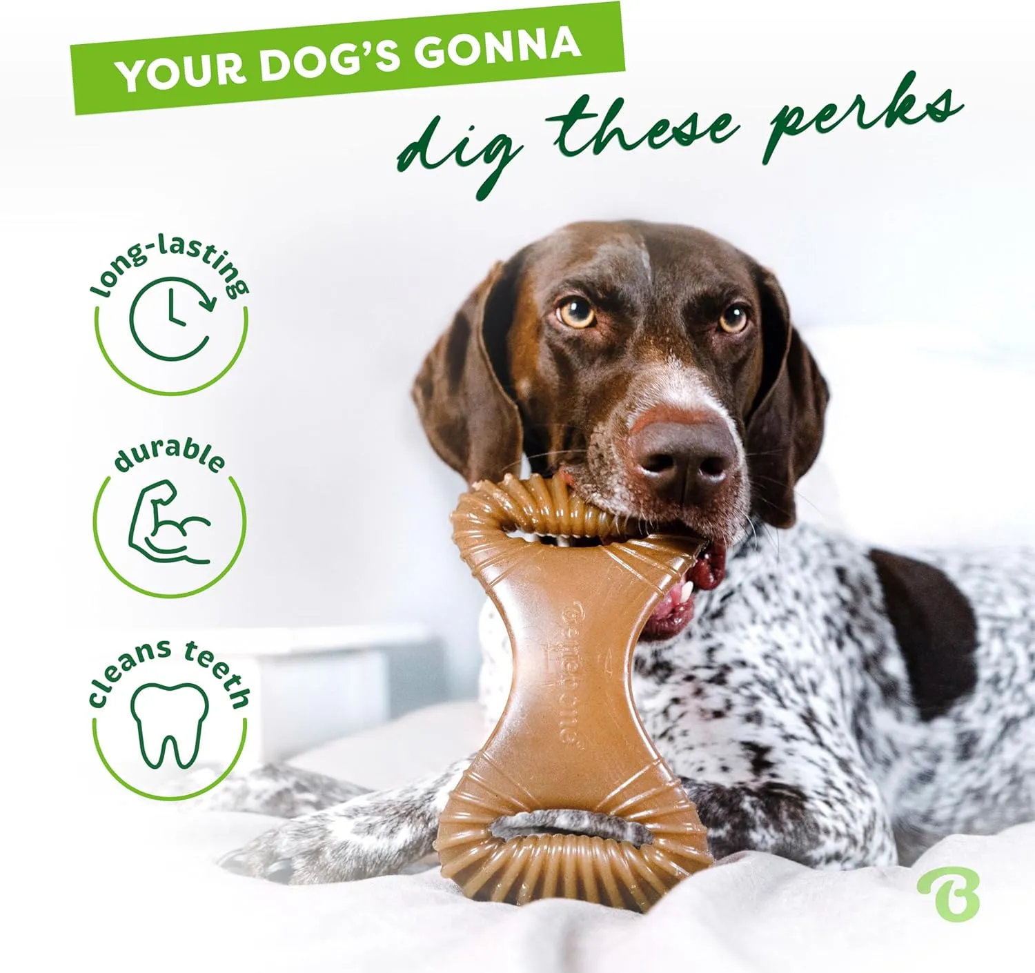 Benebone Dental Durable Dog Chew Toy for Aggressive Chewers, Real Peanut, Made in USA, Small