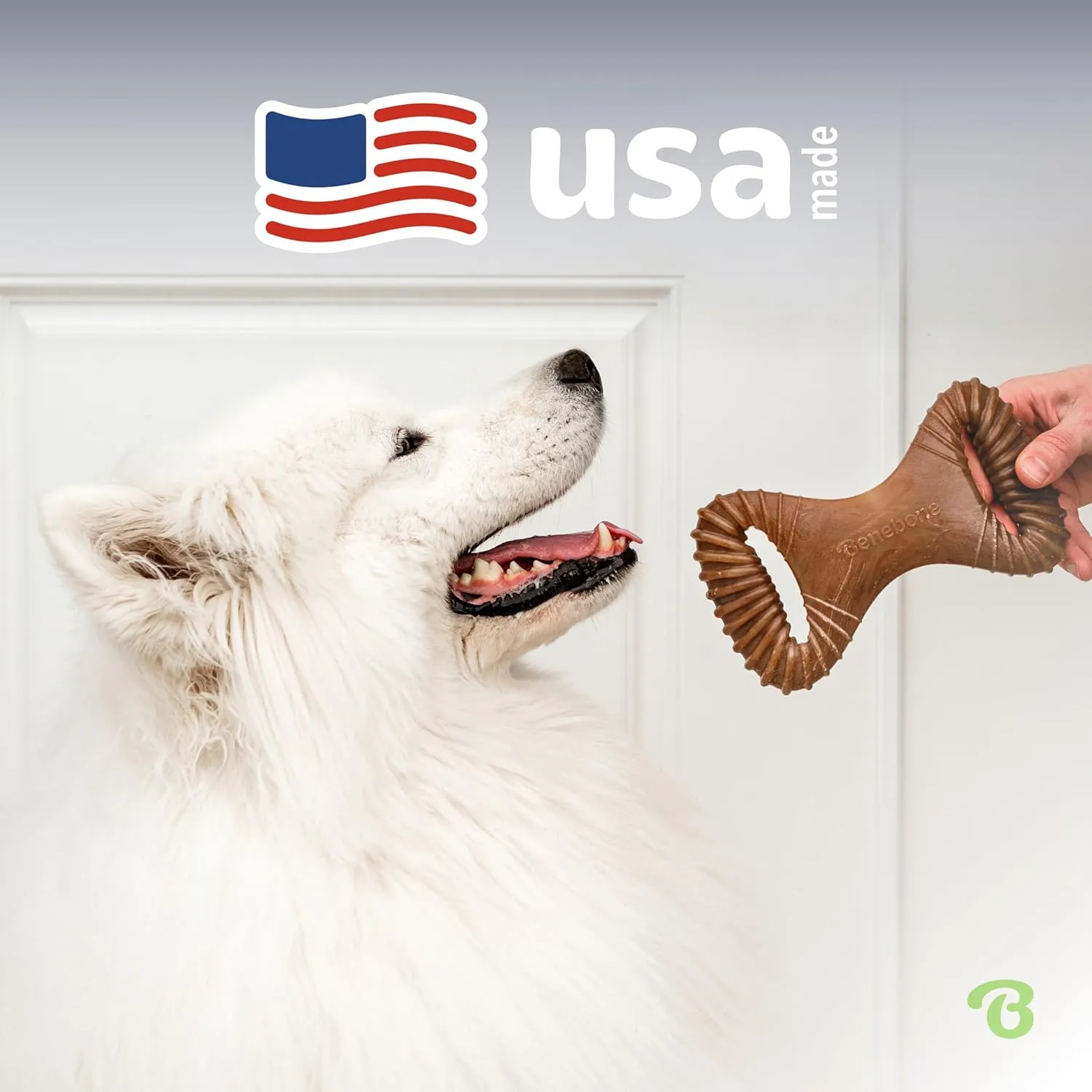 Benebone Dental Durable Dog Chew Toy for Aggressive Chewers, Real Peanut, Made in USA, Small