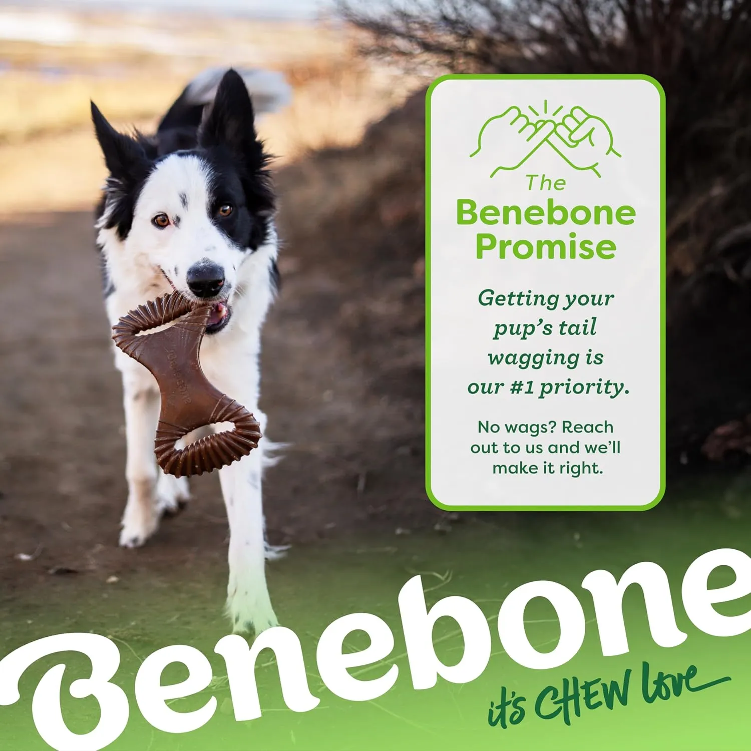 Benebone Dental Durable Dog Chew Toy for Aggressive Chewers, Real Peanut, Made in USA, Small