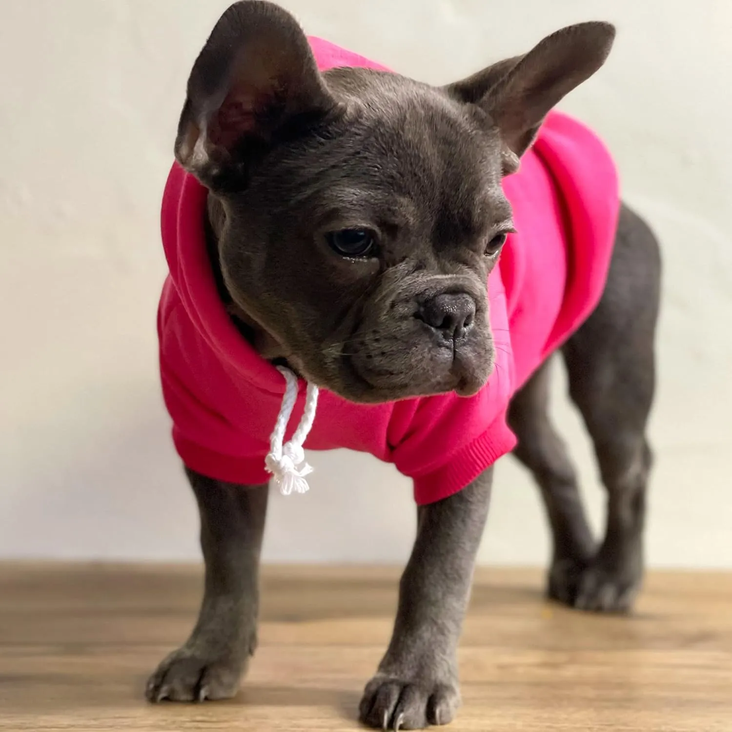 Big Sister Heart Paw Baby Announcement Dog Hoodie Fleece Lined Pullover Sweatshirt with Leash Hole (Hot Pink, 4X-Large 86)