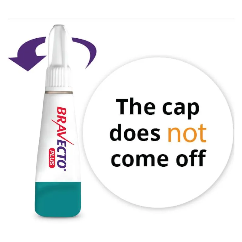 Bravecto Plus Spot-on for Large Cats (Purple)