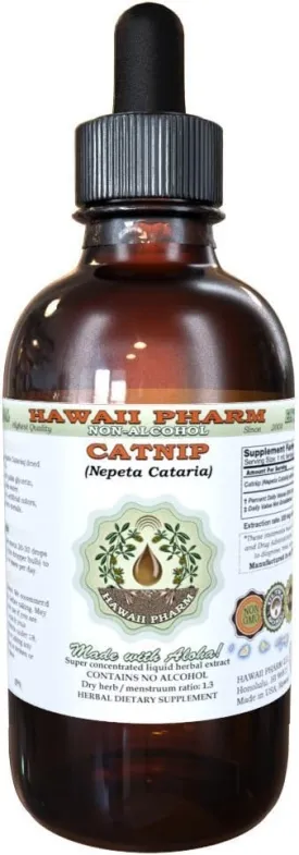 Catnip Alcohol-Free Liquid Extract, Organic Catnip (Nepeta Cataria) Dried Leaf and Flower Glycerite Hawaii Pharm Natural Herbal Supplement 2 oz
