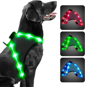 ChalkLit Light Up Dog Harness, Reflective Led Dog Harness Glow-in-The-Dark for Night Walking, USB Rechargeable Lighted Dog Safety Vest for Medium Dogs, Adjustable Soft Mesh No Pull (Green, Medium)