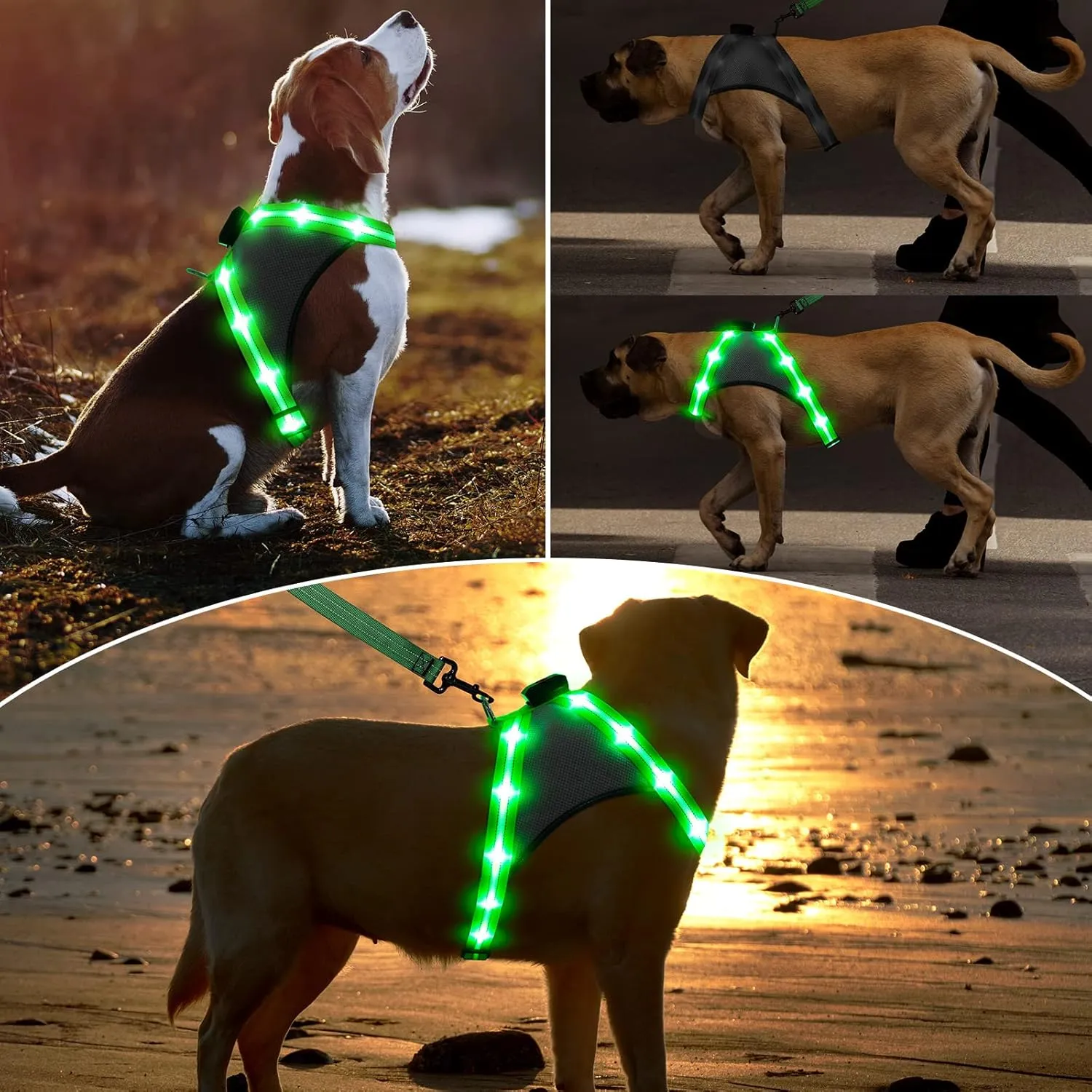 ChalkLit Light Up Dog Harness, Reflective Led Dog Harness Glow-in-The-Dark for Night Walking, USB Rechargeable Lighted Dog Safety Vest for Medium Dogs, Adjustable Soft Mesh No Pull (Green, Medium)