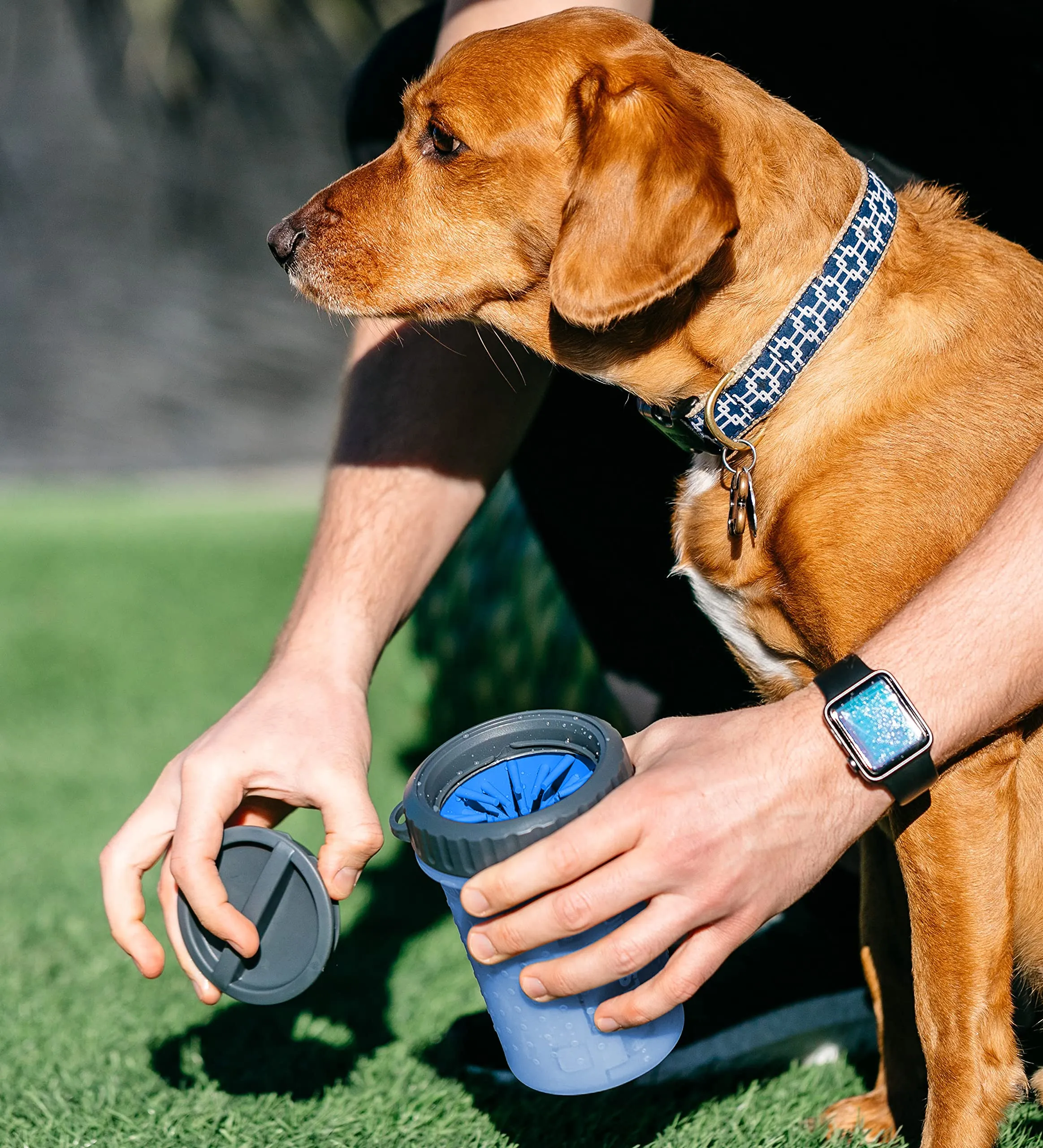Dexas Lidded MudBuster Portable Dog Paw Cleaner, Medium, Pro Blue