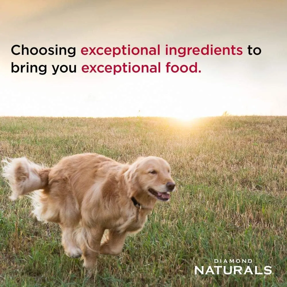 Diamond Naturals Adult Dry Dog Food Lamb Meal and Rice Formula Made with Lamb Protein, Probiotics and Essential Nutrients to Support Balanced and Overall Health 20LB