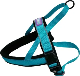 Dog & Co Nylon Norwegian Harness Reflective Aqua Medium