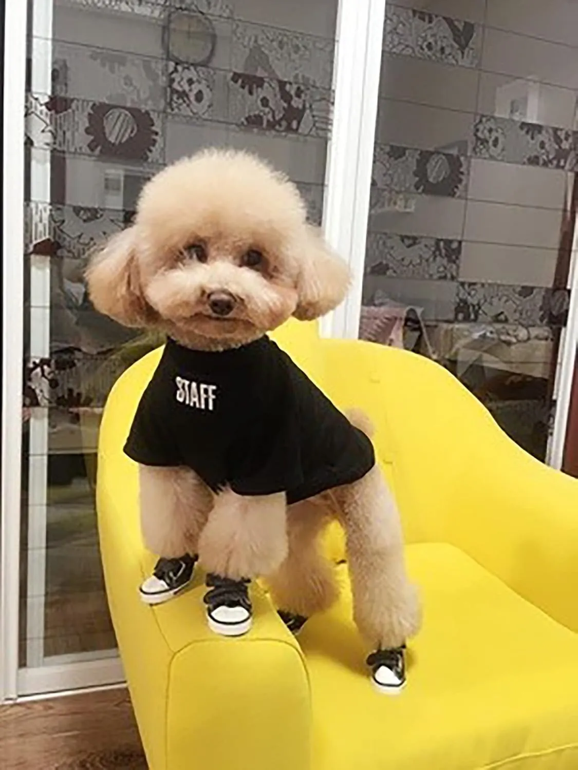 Dog Sneaker for Small Dogs, Canvas Shoes for Puppy, Anti-Slip Dog Shoes, Pet Boots for Small Dog Blue Size 3