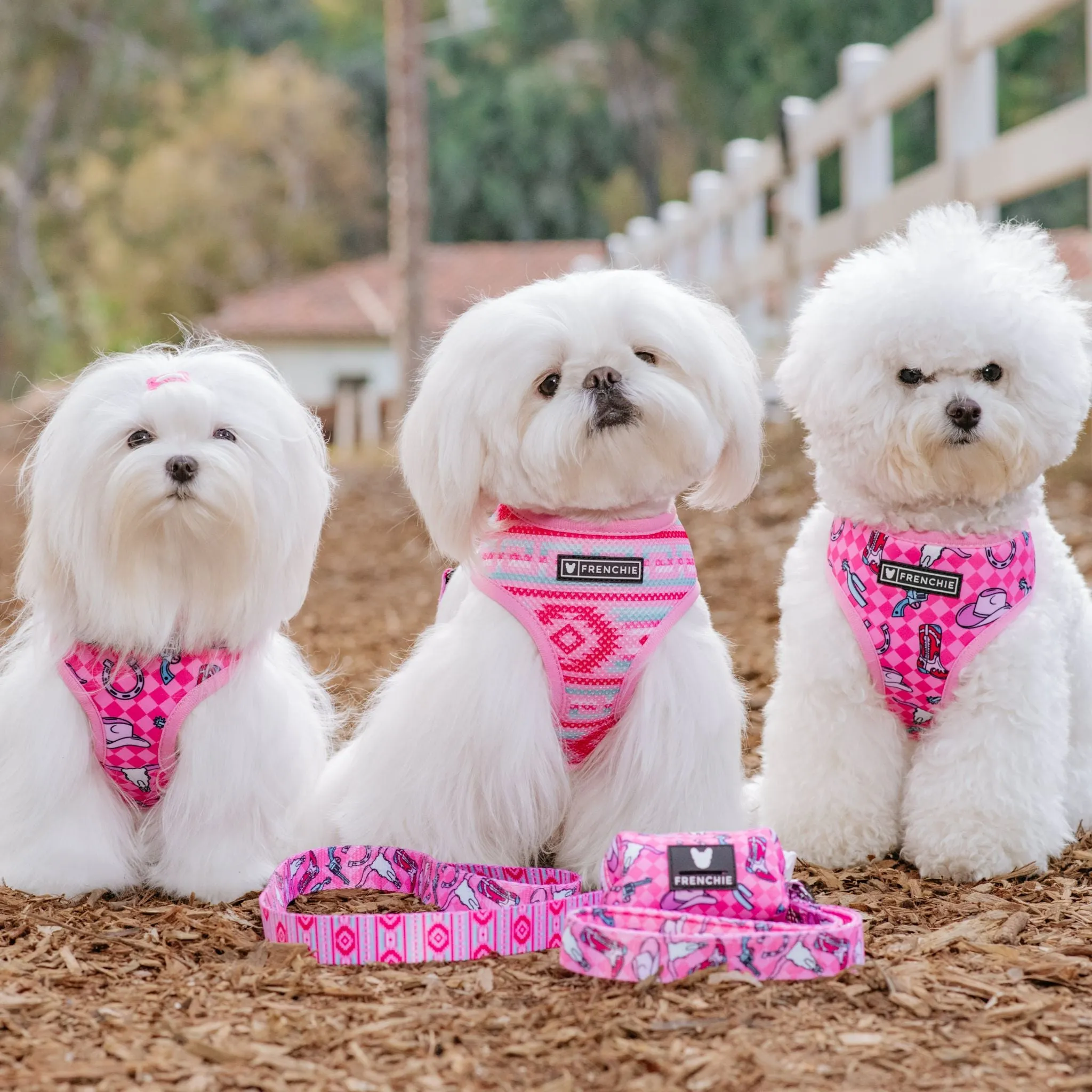 Frenchie Duo Reversible Harness - Wild West- Pink