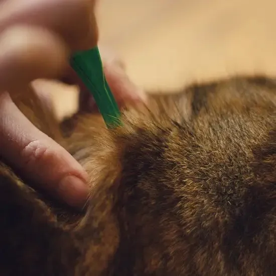 FRONTLINE PLUS® Spot-On Flea and Tick Treatment for Cats