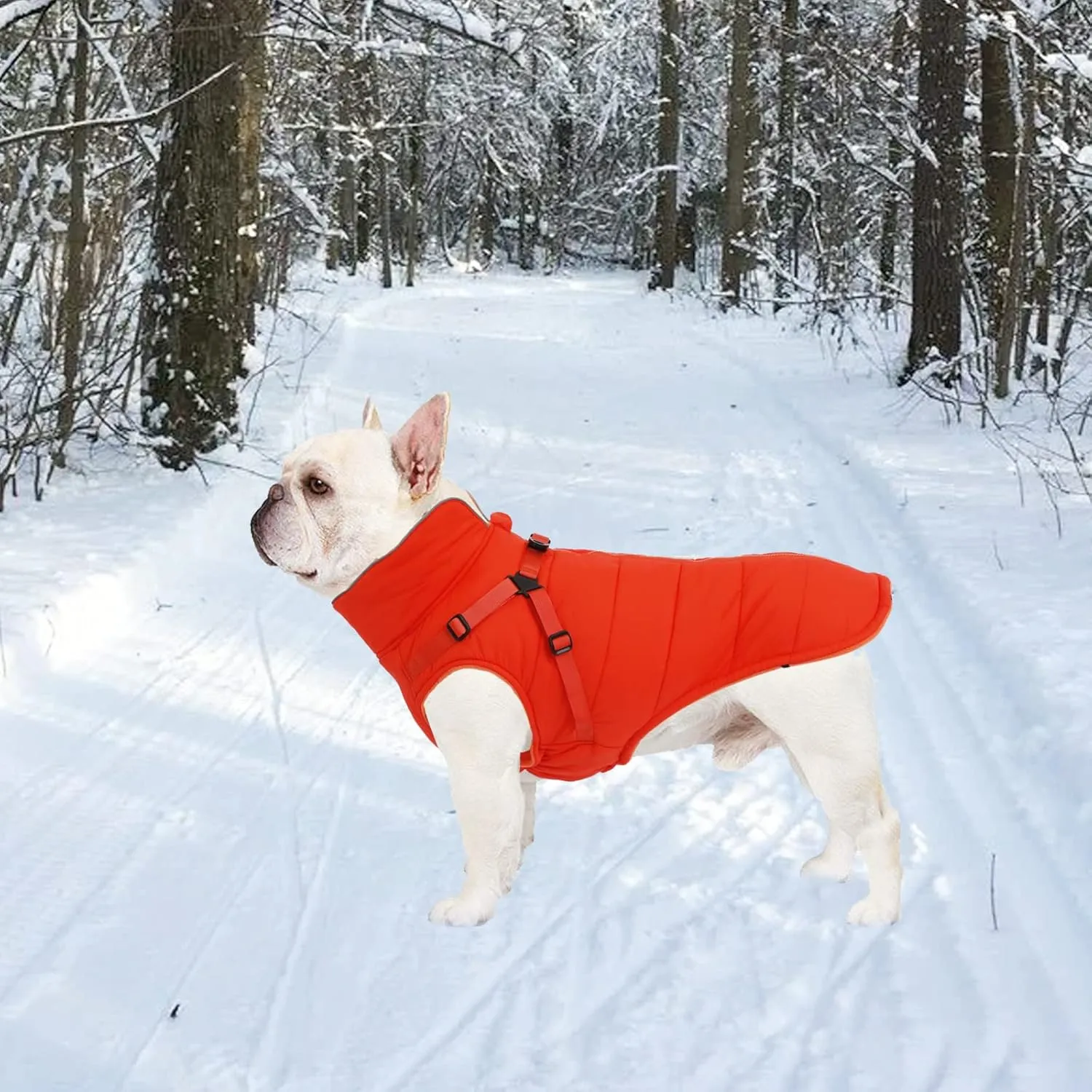Geyecete Winter Warm Coat Waterproof Dog Winter Jacket with Harness Traction Belt,Windproof Pet Outdoor Jacket Dog Autumn-Orange-S