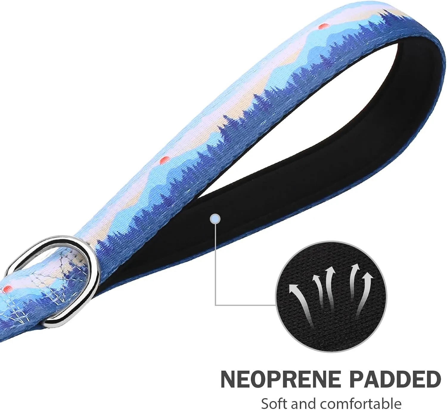 Hikiko Double Handle Dog Leash 6 Foot Strong Nylon Padded Traffic Handles for Walking Training (Blue Hill)