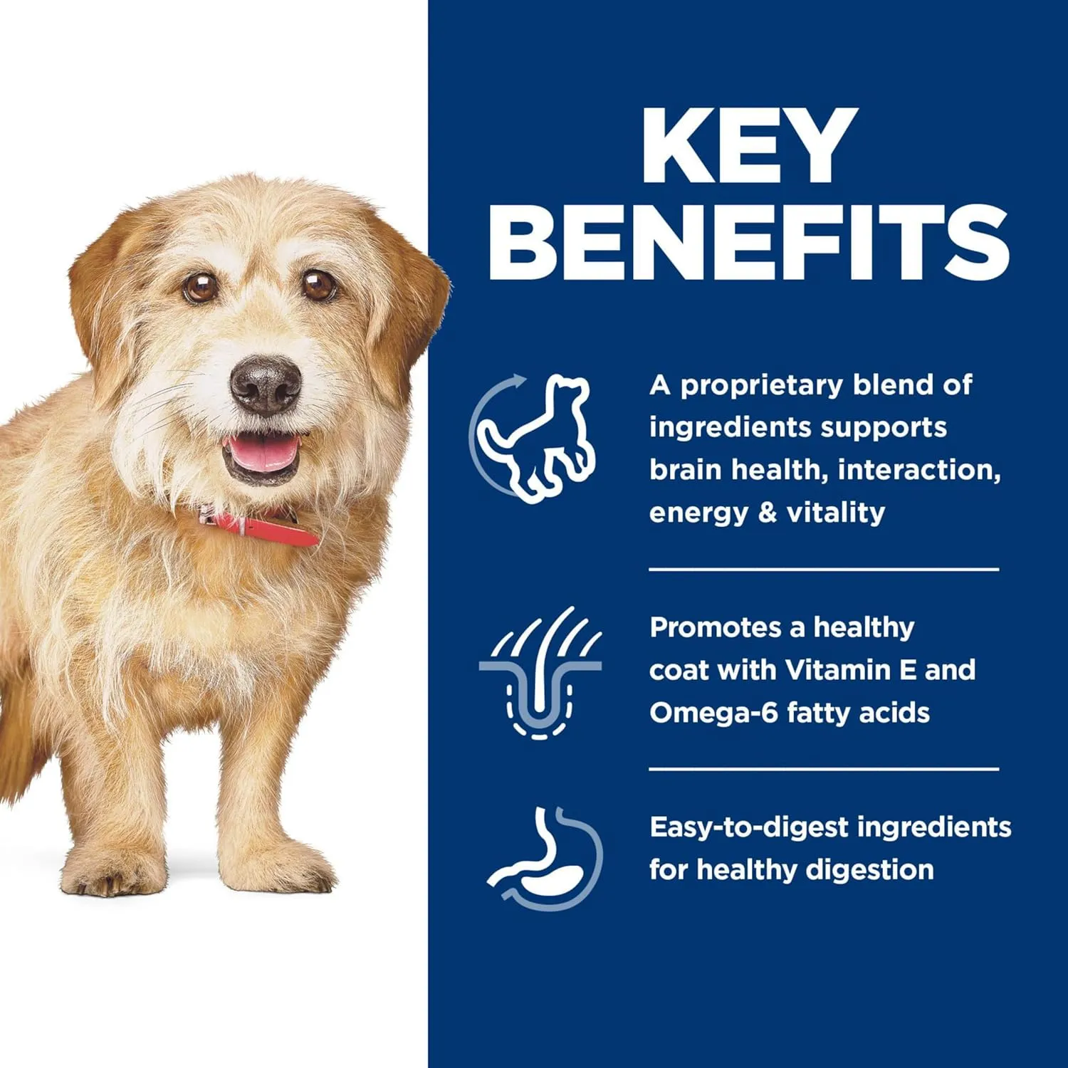 Hill's Science Diet Senior Vitality, Senior Adult 7 , Small & Mini Breeds Senior Premium Nutrition, Dry Dog Food, Chicken & Rice, 12.5 lb Bag
