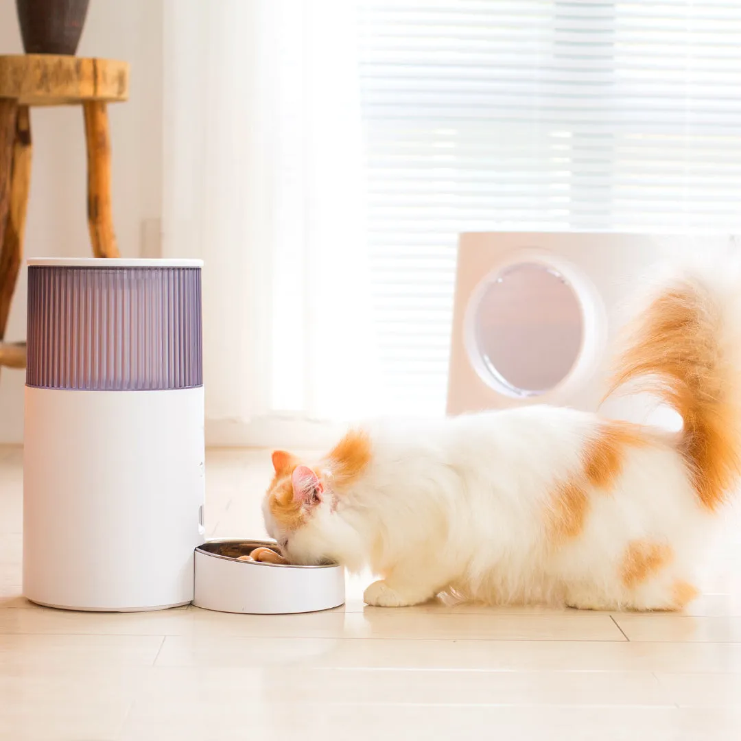 INSTACHEW Purechew Mini Smart Automatic Pet Feeder, App Enabled, Food Bin for Pets, Automates Feeding, Holds Fresh Food, Schedules Feeding times, Automatic Feeding, Scheduled Meals, Portion Controller, Food Bowl for Cats, Food Bowl for Dogs