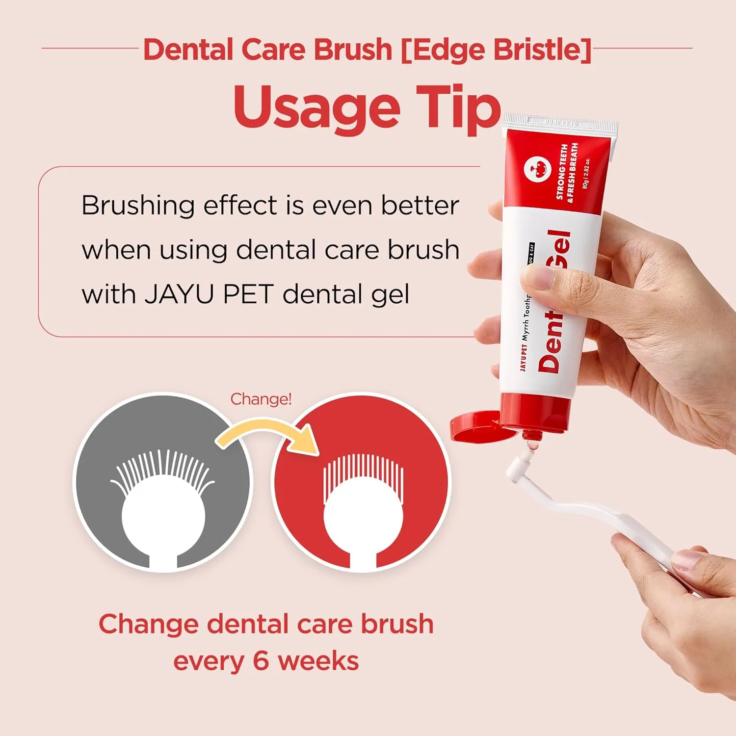 JAYU PET Dental Care Brush (Edge Bristles) 3ea - Micro Round Head Dog Toothbrush, Cat Toothbrush, Dental Care, Perfect for Kitten & Small Breed with End-tuft Diagonal-Shaped Bristle & Easy Grip Handle