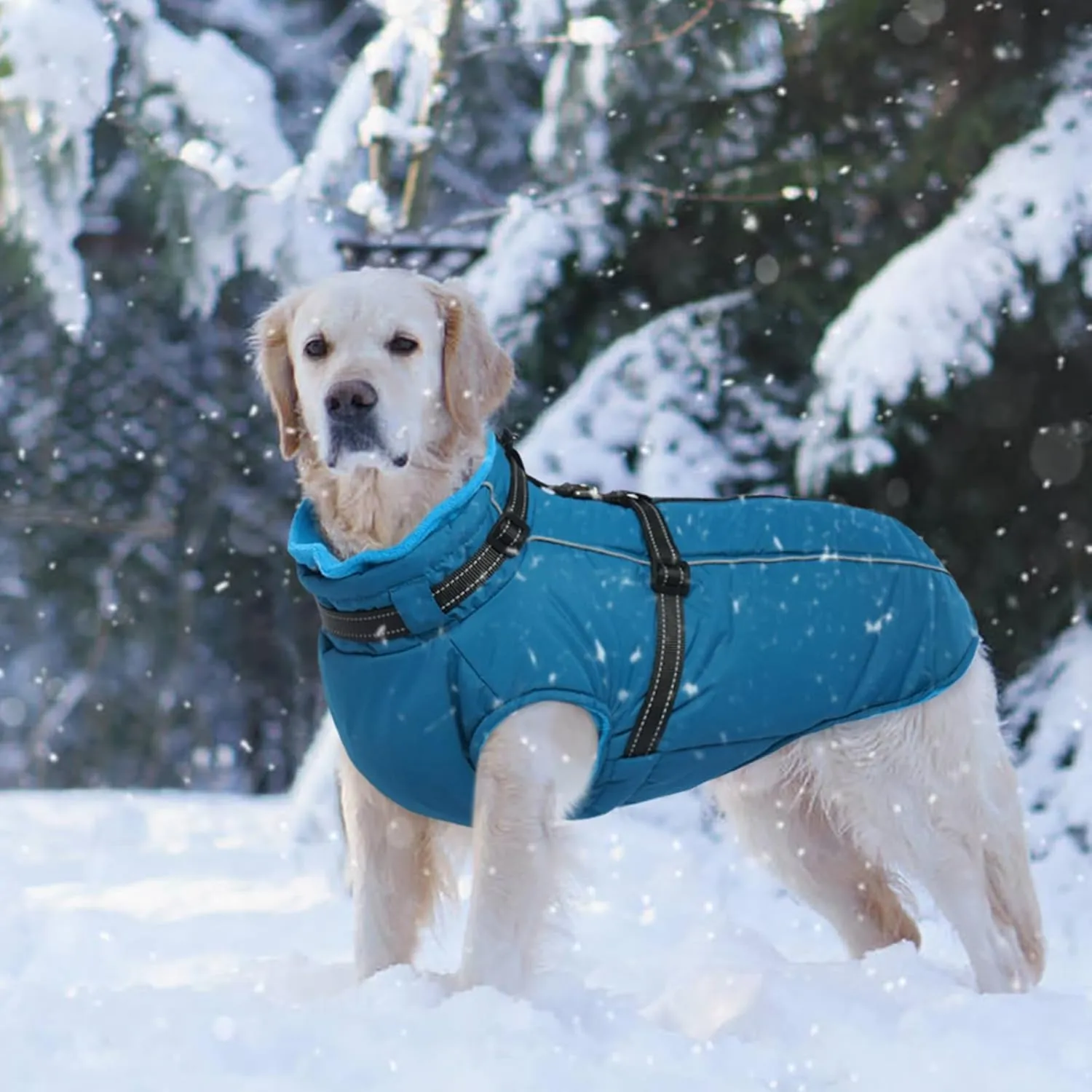 Lelepet Waterproof Dog Jacket with Harness - Warm Winter Coat, Fleece Jacket, Reflective Coats for Medium Dogs, Schnauzer, Pug, Blue, M