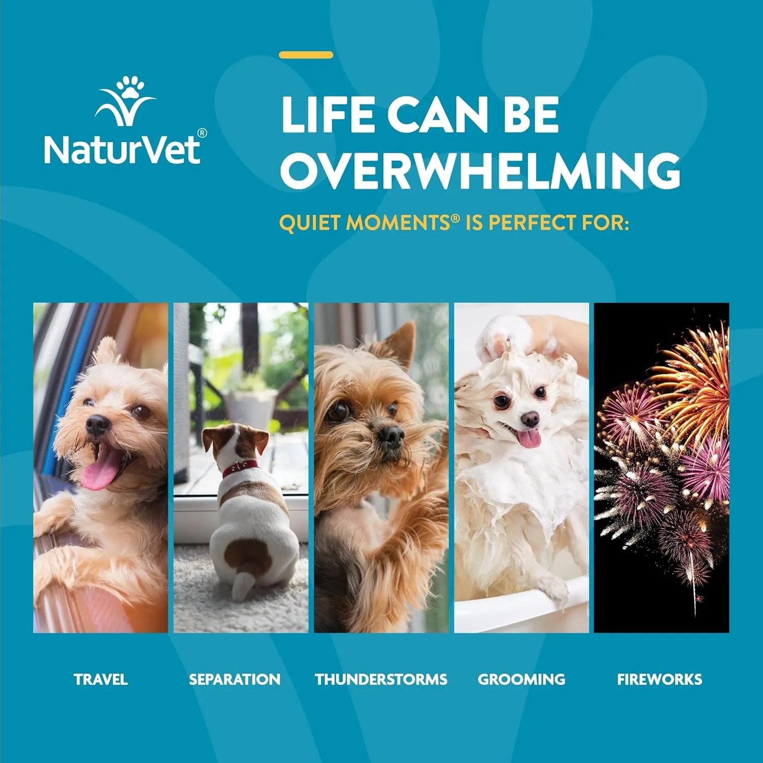 NaturVet Quiet Moments Calming Aid Melatonin Dog Supplement  Helps Reduce Stress in Dogs  for Pet Storm Anxiety, Fireworks, Motion Sickness, Grooming, Separation, Travel  240 Ct. Chews