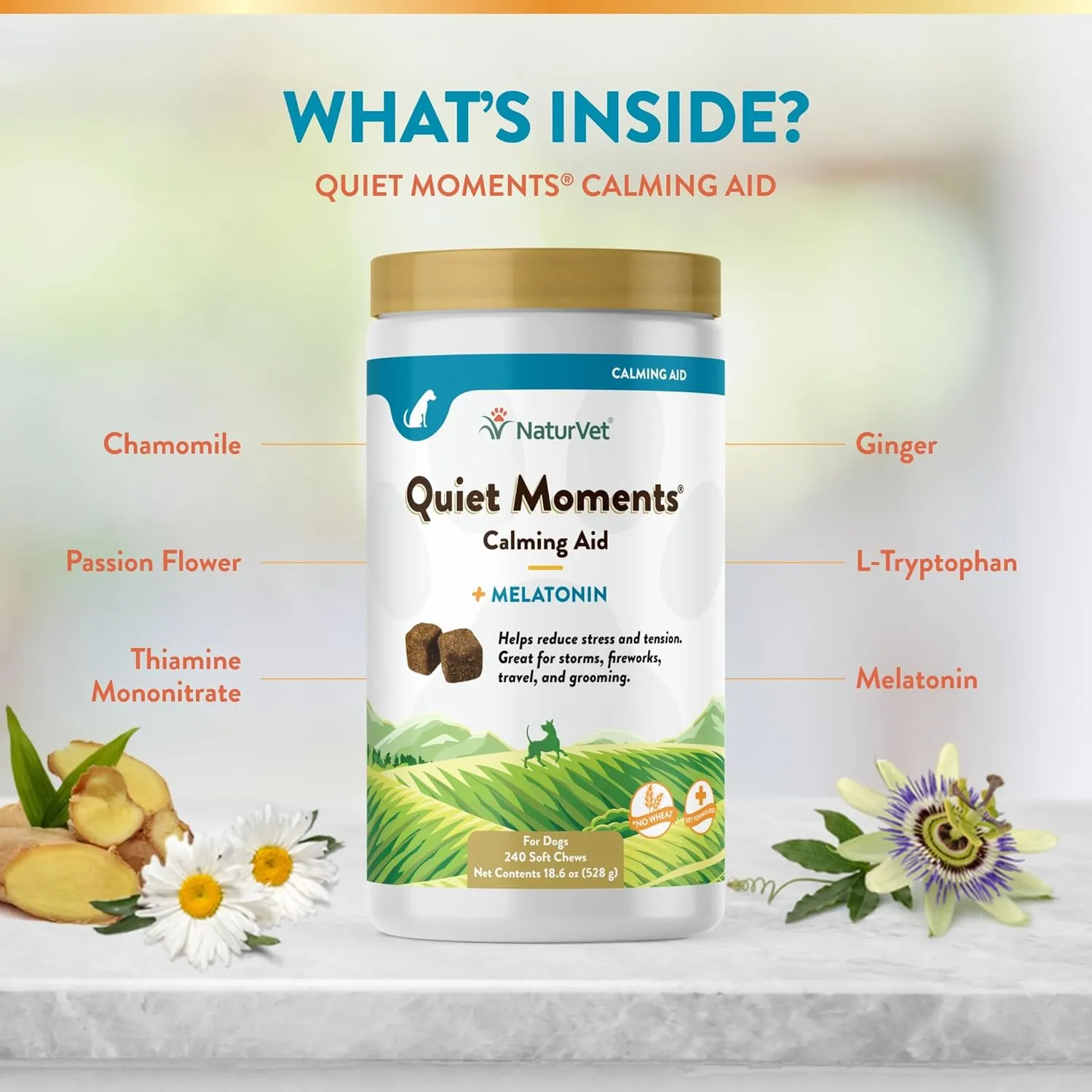 NaturVet Quiet Moments Calming Aid Melatonin Dog Supplement  Helps Reduce Stress in Dogs  for Pet Storm Anxiety, Fireworks, Motion Sickness, Grooming, Separation, Travel  240 Ct. Chews