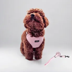 No Pull Puppy Harness and Leash Set  No Choke Neoprene Dog Harness for Small Dogs (1525lbs)  Pink (S), Lightweight Breathable Mesh with Unique Heart Pattern, Adjustable Fit