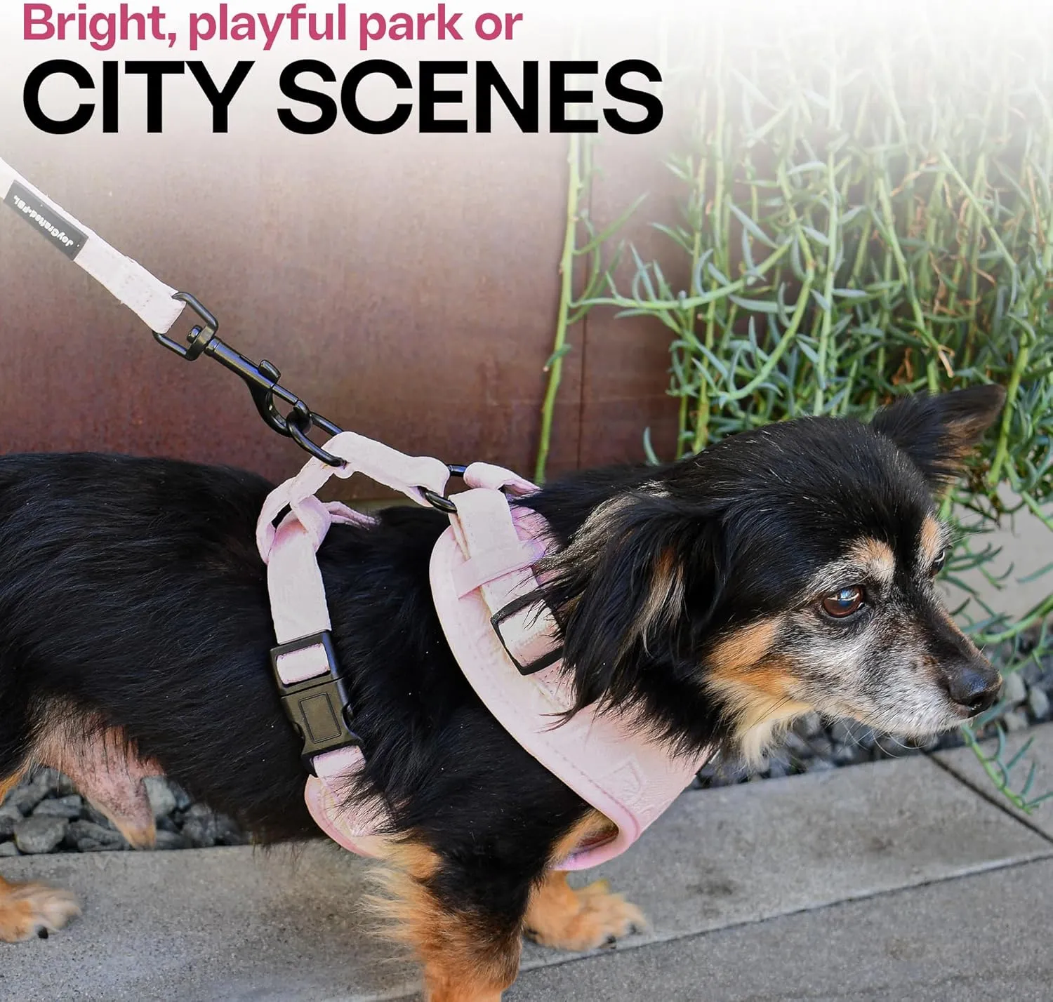 No Pull Puppy Harness and Leash Set  No Choke Neoprene Dog Harness for Small Dogs (1525lbs)  Pink (S), Lightweight Breathable Mesh with Unique Heart Pattern, Adjustable Fit