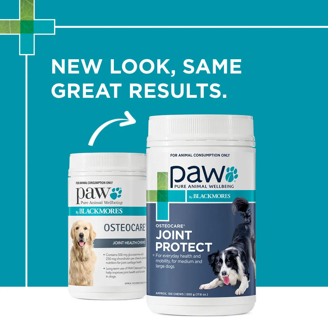 PAW by Blackmores Osteocare Joint Protect Chews for Dogs 500g