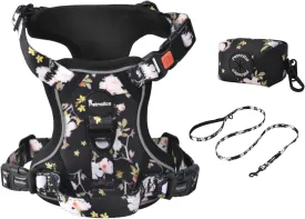 Petmolico No Pull Dog Harness Set, 4 Leash Attchment Easy Control Handle Reflective Vest Dog Harness for Small Breed,Harness and Leash Set with Poop Bag Holder, Small Yellow Peach Blossom