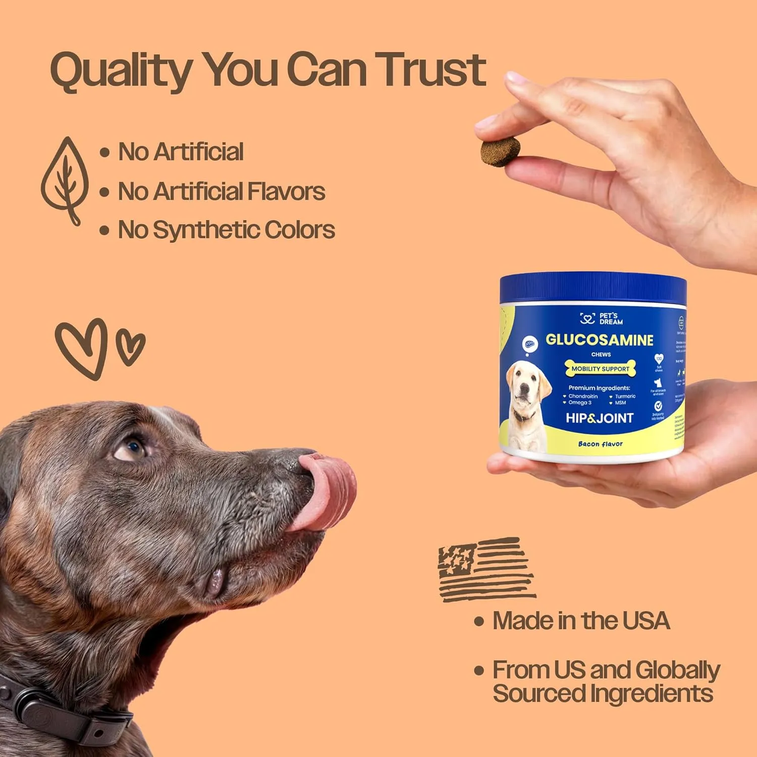 PET'S DREAM Hip and Joint Glucosamine for Dogs, Joint Support Supplement for Dogs with Chondroitin & MSM, Dog Hip and Joint Supplement Small & Large Breed, Bacon Flavor, 130 Chews