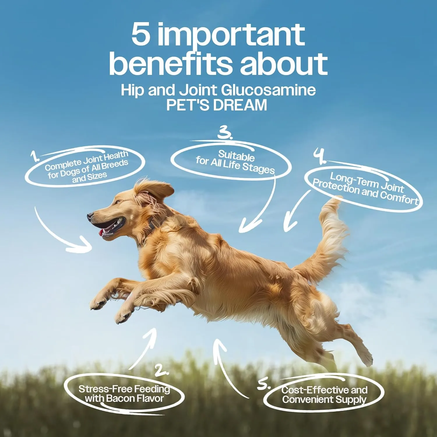 PET'S DREAM Hip and Joint Glucosamine for Dogs, Joint Support Supplement for Dogs with Chondroitin & MSM, Dog Hip and Joint Supplement Small & Large Breed, Bacon Flavor, 130 Chews