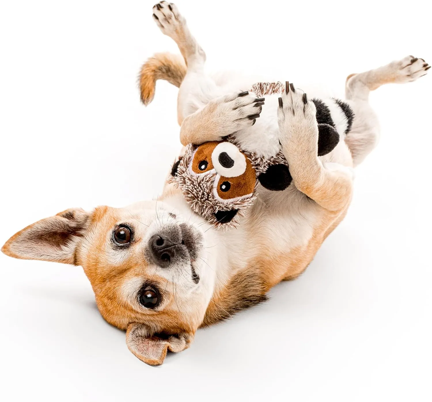 Playology Plush Toys for Dogs | Stuffed Animal Raccoon | Sweet Potato Scented Toy for Small Dogs