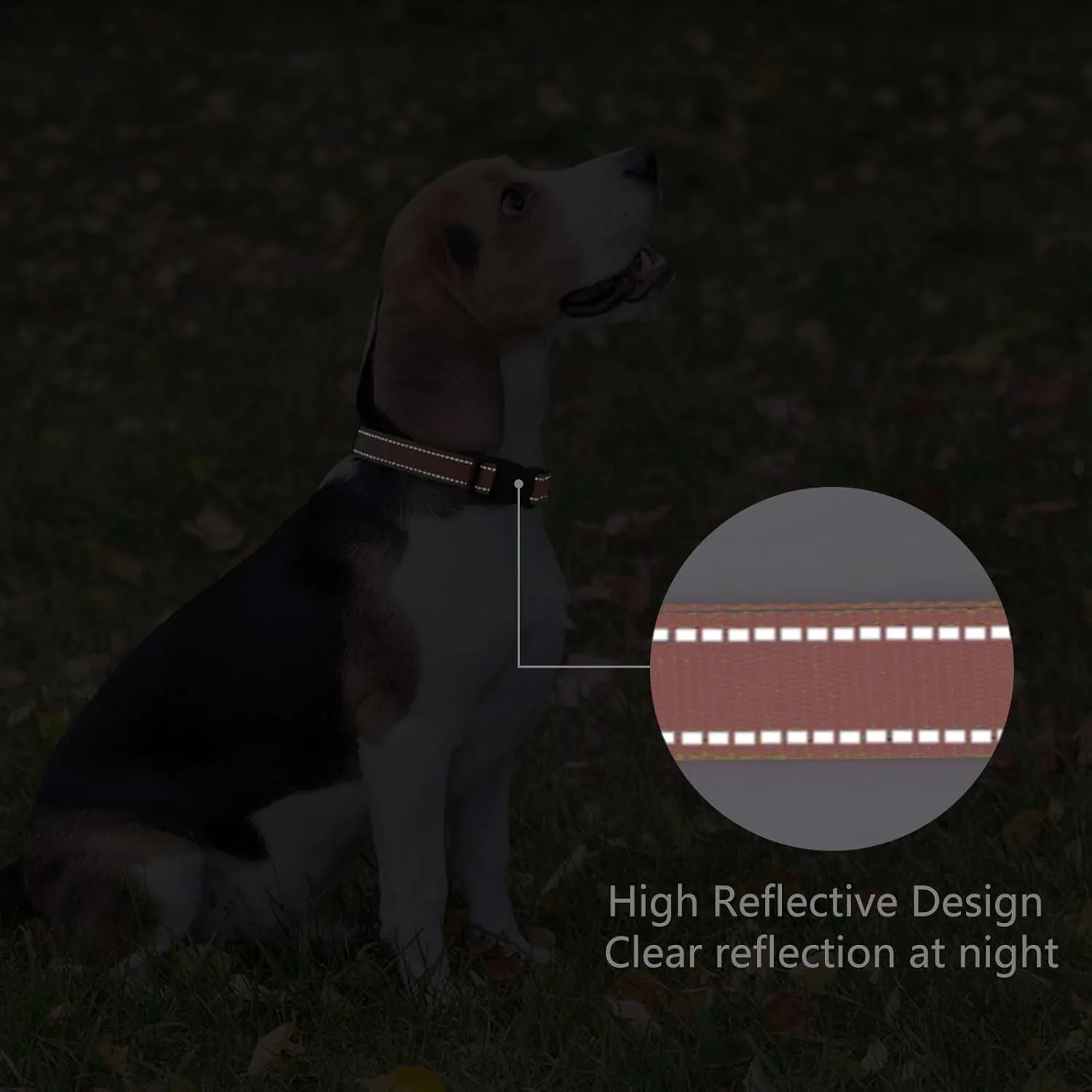 Reflective Dog Collar Padded with Soft Neoprene Breathable Quick Release Basic Dog Collars for Medium Large Dogs Coral