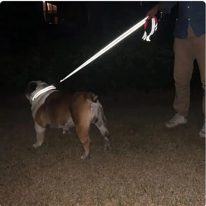 Reflective Pet Leash