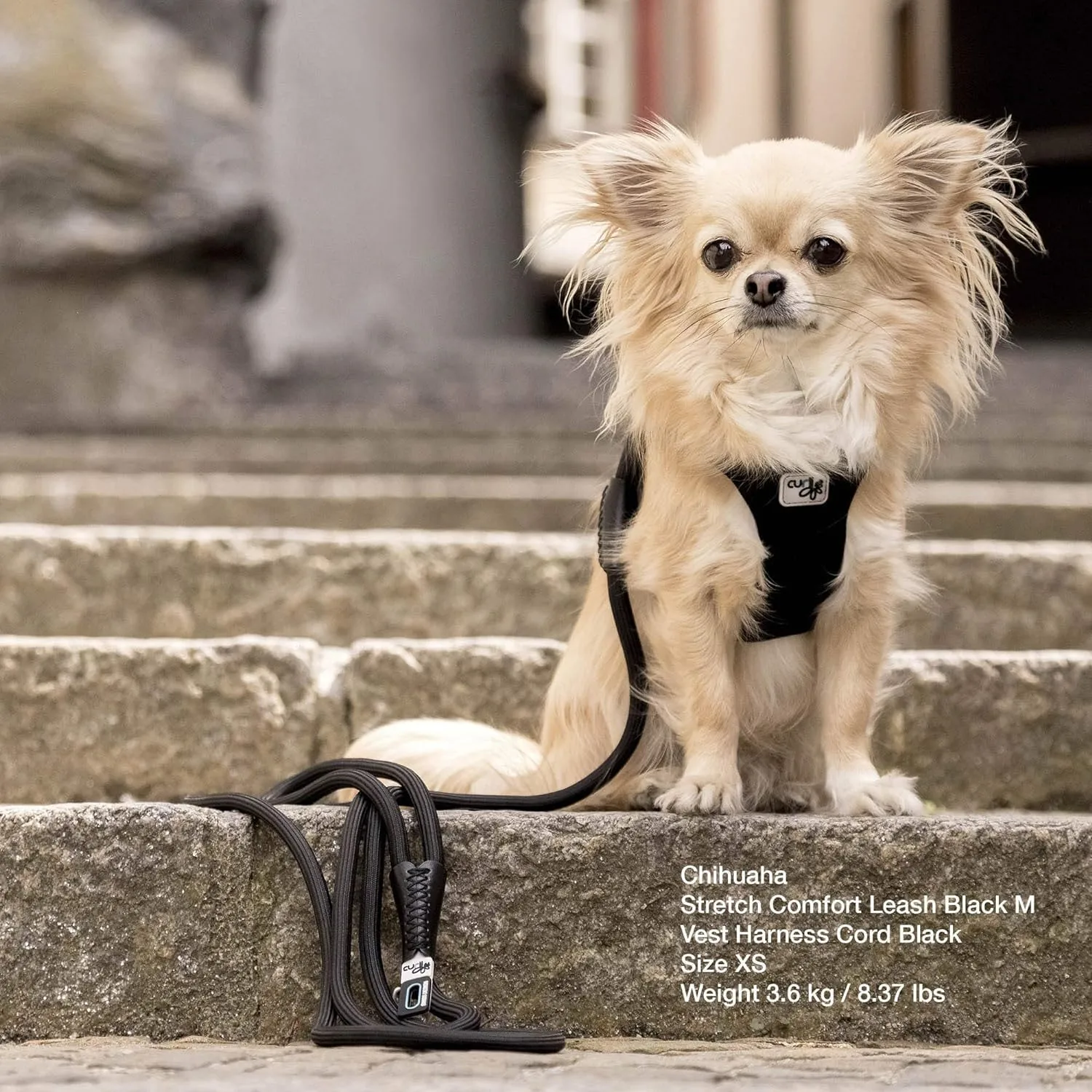 Stretch Comfort Leash Blue M