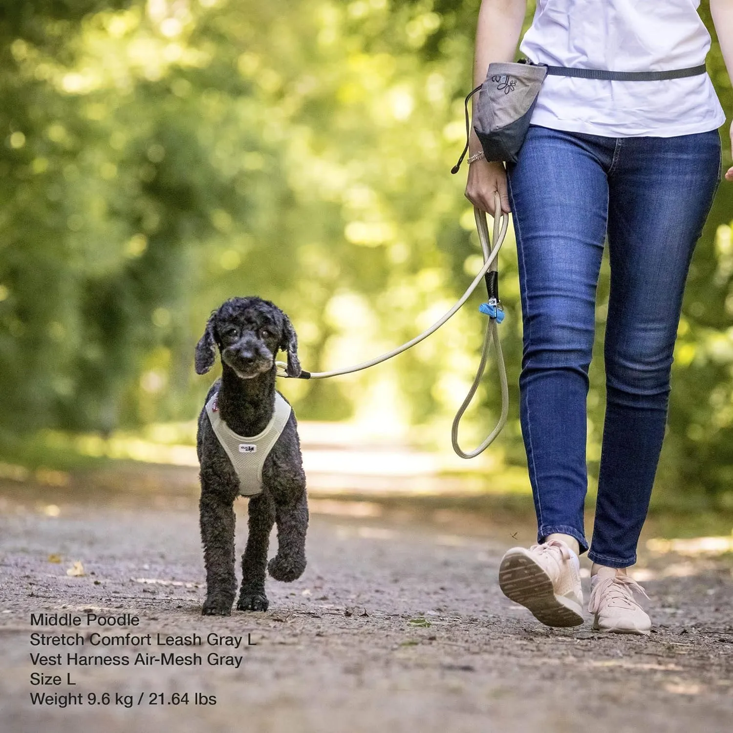 Stretch Comfort Leash Blue M