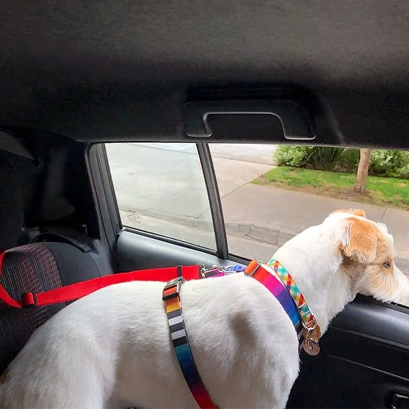 Two-in-One Adjustable Pet Dog Car Seat Belt