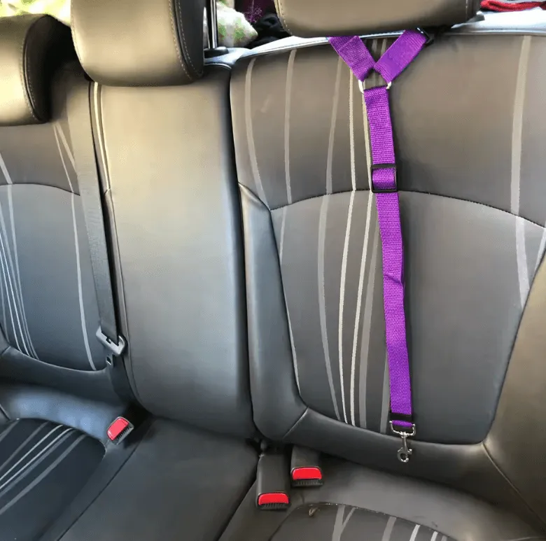 Two-in-One Pet Car Seat Belt & Leash - Adjustable Nylon Harness for Dogs & Cats