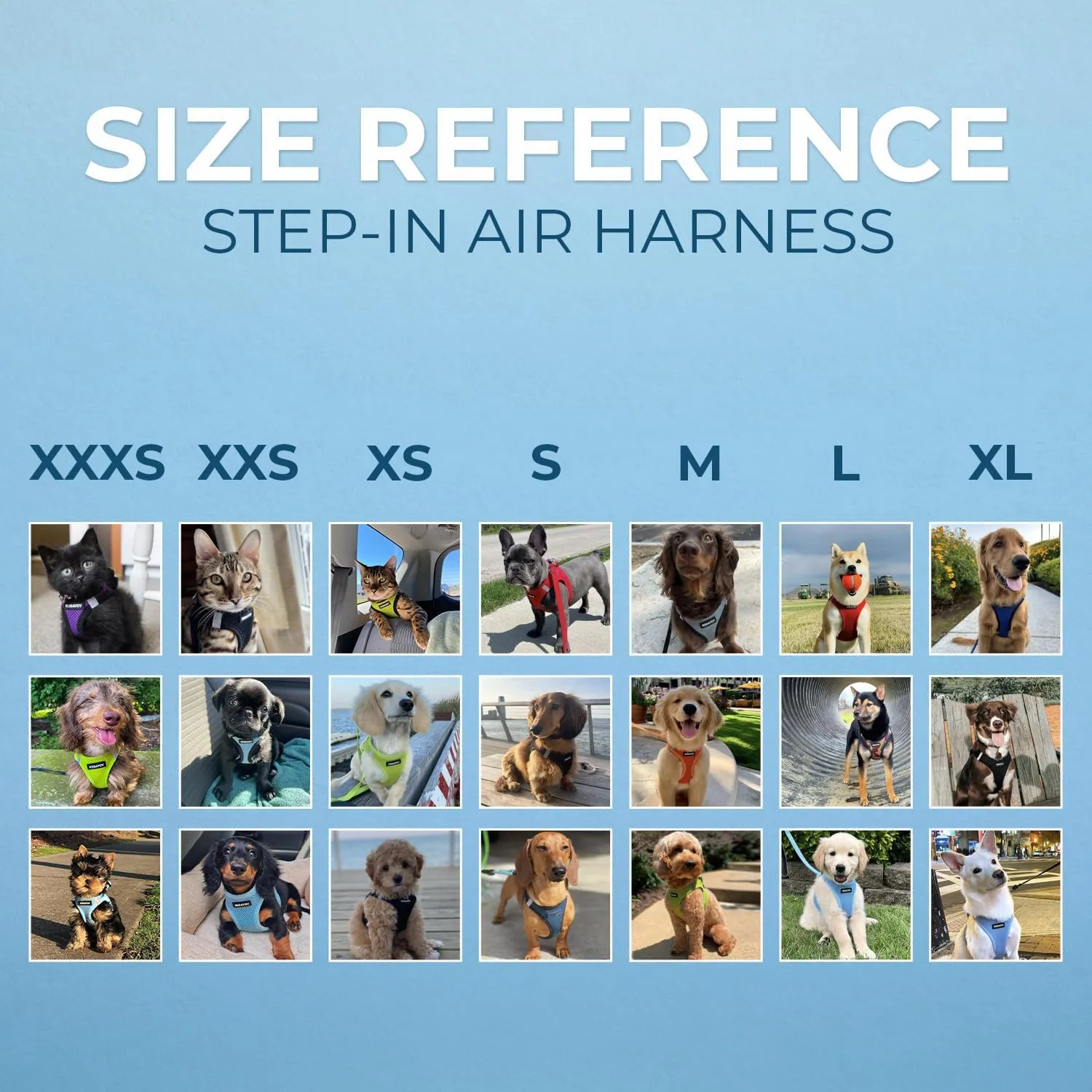 Voyager Step-in Air All Weather Mesh Harness and Reflective Dog 5 ft Leash Combo with Neoprene Handle, for Small, Medium and Large Breed Puppies by Best Pet Supplies - Set (Baby Blue), M