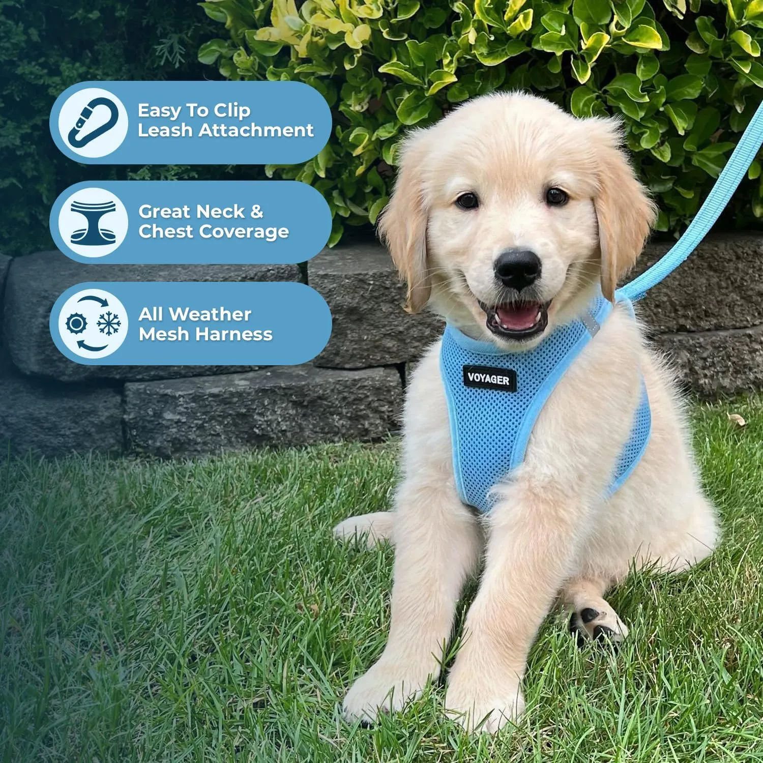 Voyager Step-in Air All Weather Mesh Harness and Reflective Dog 5 ft Leash Combo with Neoprene Handle, for Small, Medium and Large Breed Puppies by Best Pet Supplies - Set (Baby Blue), M