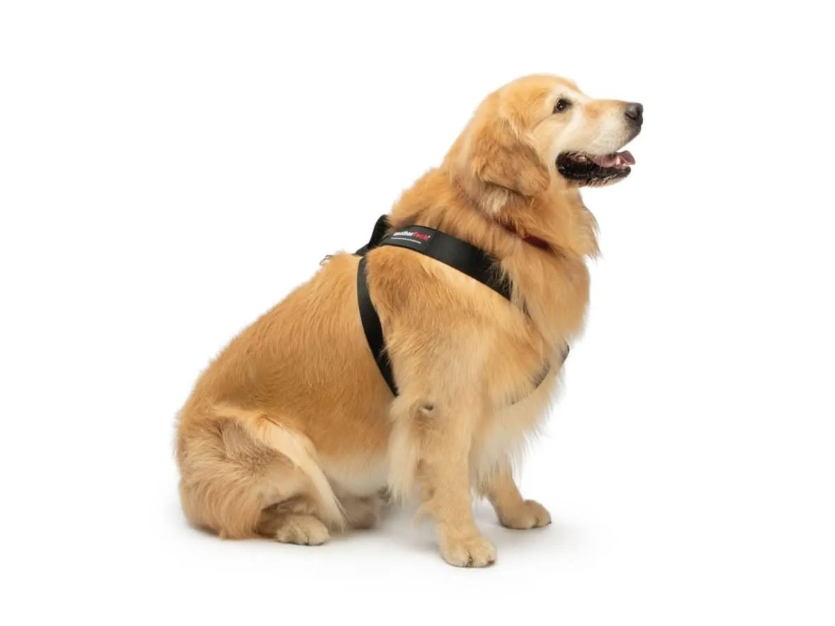 WeatherTech Pet Safety Harness - Black